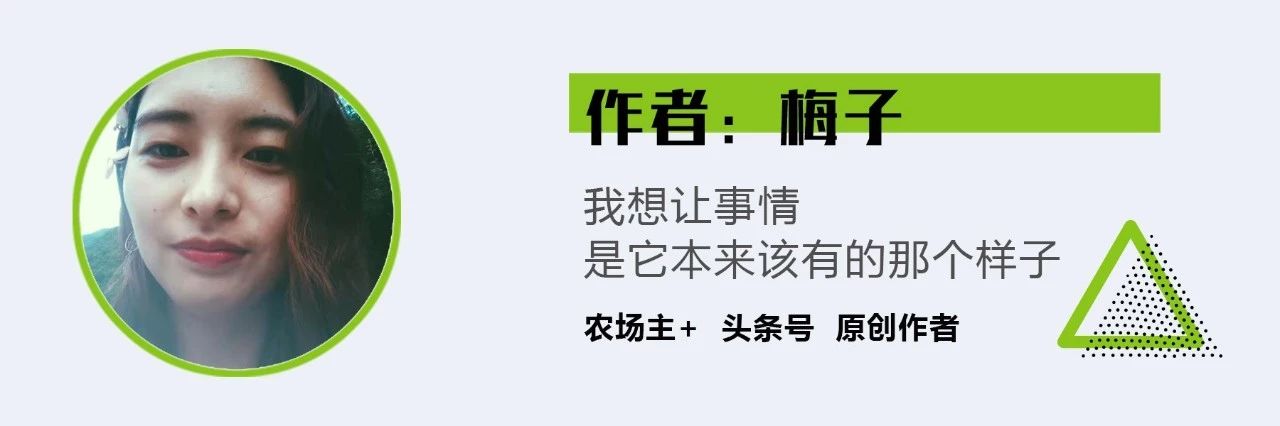 田园赚钱软件_无广告真正赚钱1000游戏田园_赚钱游戏田园生活