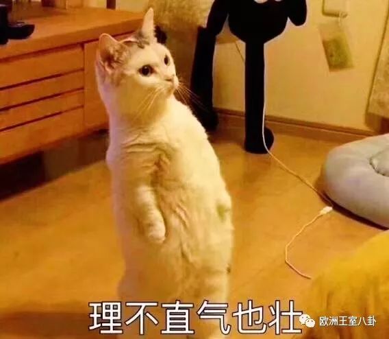 哪个消消乐能赚钱可以提现-八卦王室能赚很多钱吗？