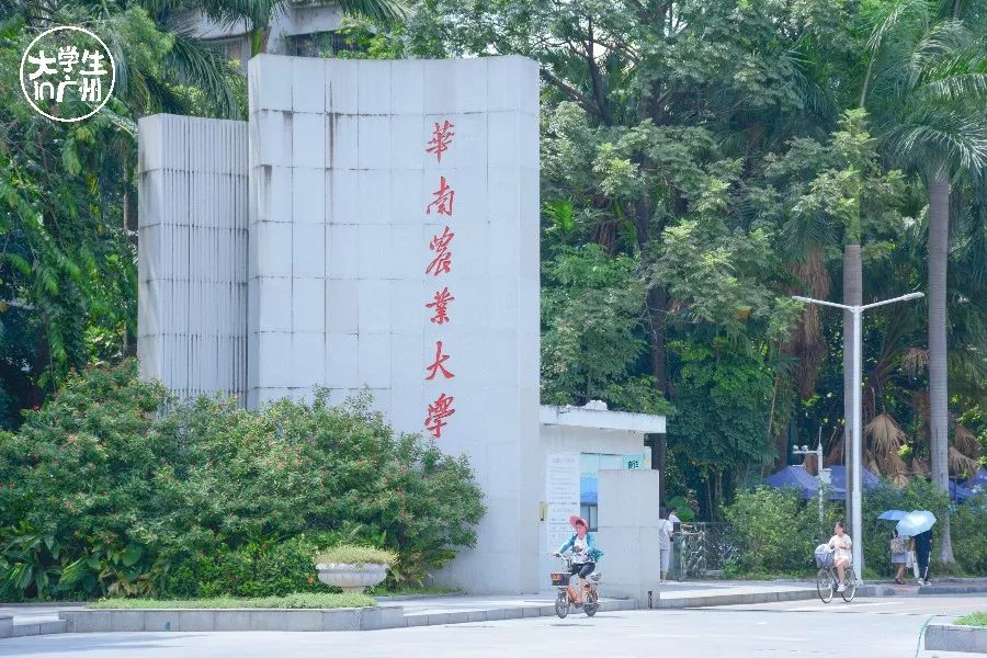 赚钱 学生_赚钱的软件哪个安全又赚钱学生_赚钱学生党软件