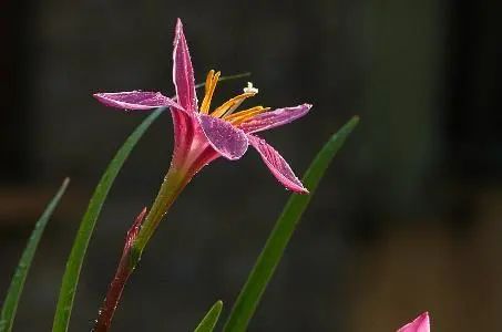 急于赚钱用什么方法好-穷人想要咸鱼翻身，别急于攒钱，而是学会这三点