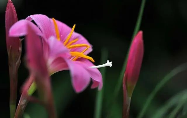 急于赚钱用什么方法_急于赚钱用什么方法好_急速挣钱的好办法