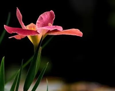 急于赚钱用什么方法_急于赚钱用什么方法好_急速挣钱的好办法