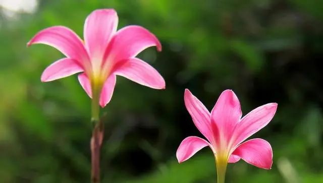 急于赚钱用什么方法_急于赚钱用什么方法好_急速挣钱的好办法