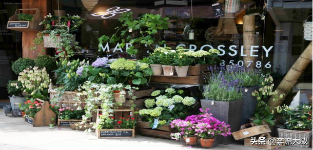 线上花店副业收入多少_花店线上运营教程_线上花店兼职