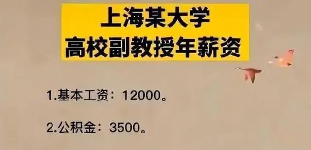 在编教授副业工资多少_工资在编教授副业怎么算_副教授到教授工资增加