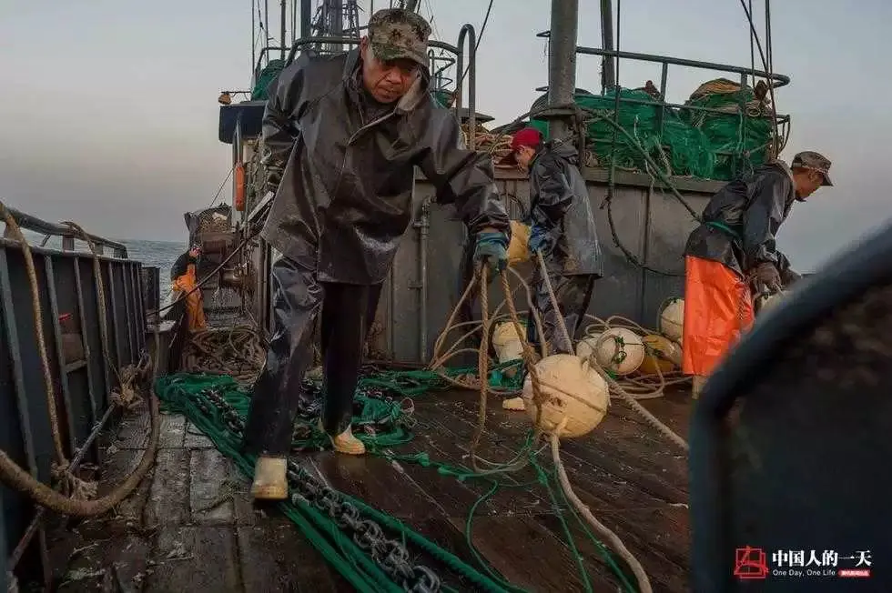 玩捕鱼一天赚100万_捕鱼一天赚_玩捕鱼一天赚200块钱