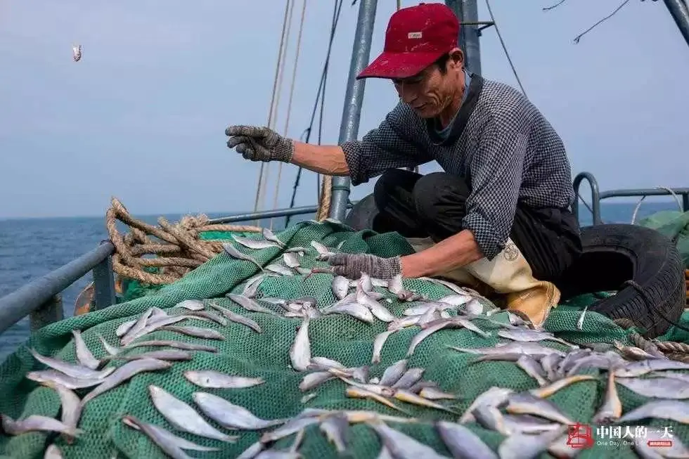 玩捕鱼一天赚100万_玩捕鱼一天赚200块钱_捕鱼一天赚