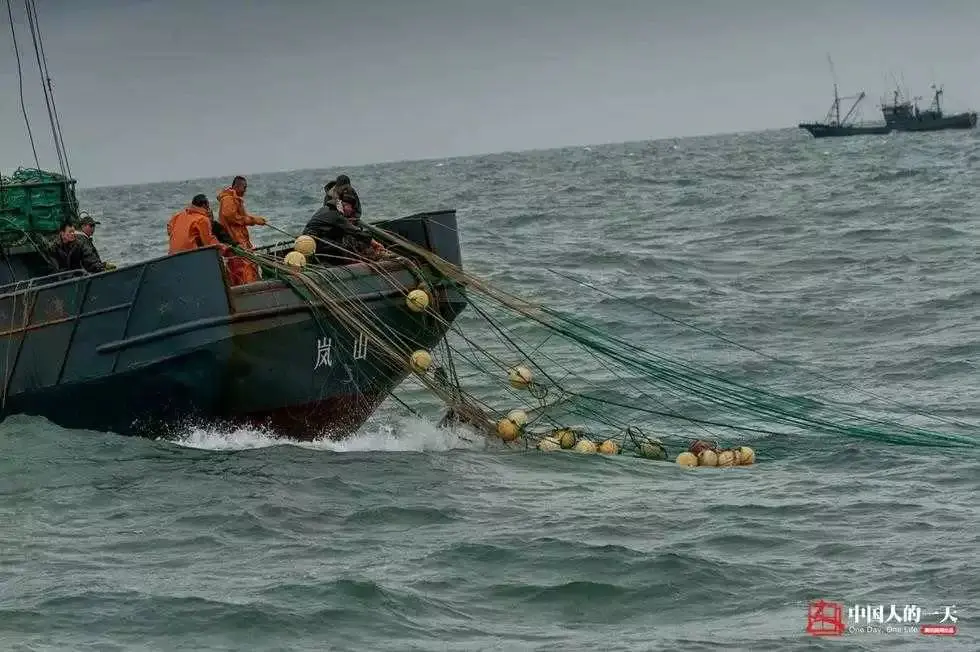 玩捕鱼一天赚100万_玩捕鱼一天赚200块钱_捕鱼一天赚