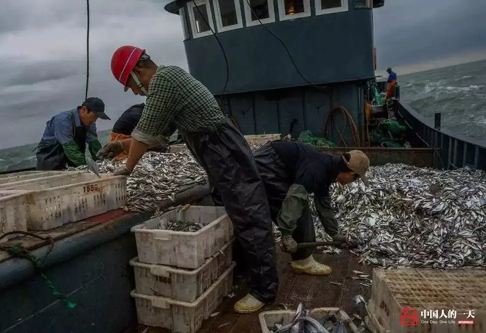 玩捕鱼一天赚100万_捕鱼一天赚_玩捕鱼一天赚200块钱