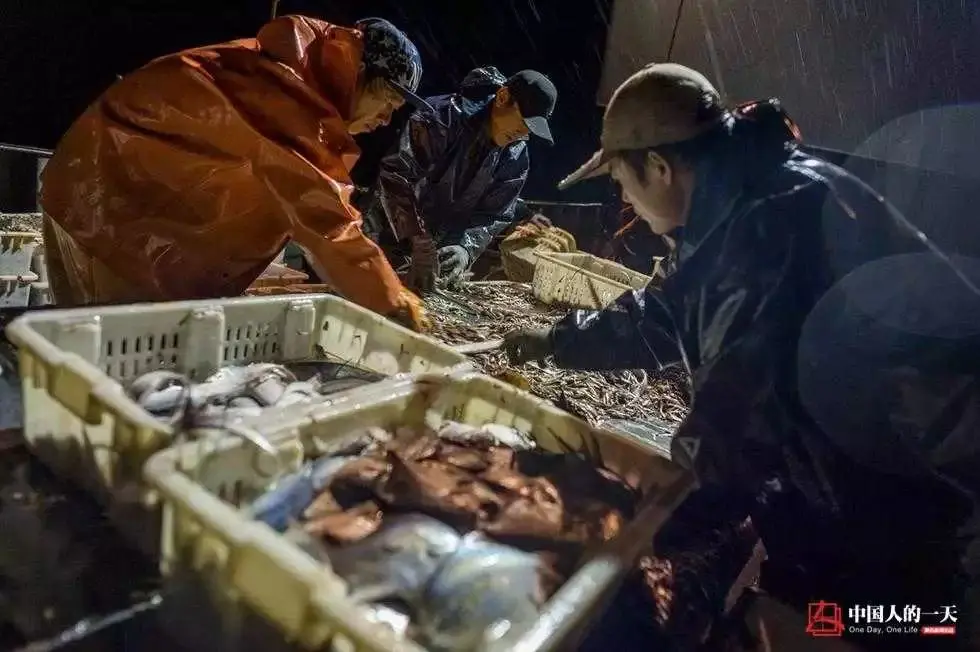 玩捕鱼一天赚200块钱_捕鱼一天赚_玩捕鱼一天赚100万