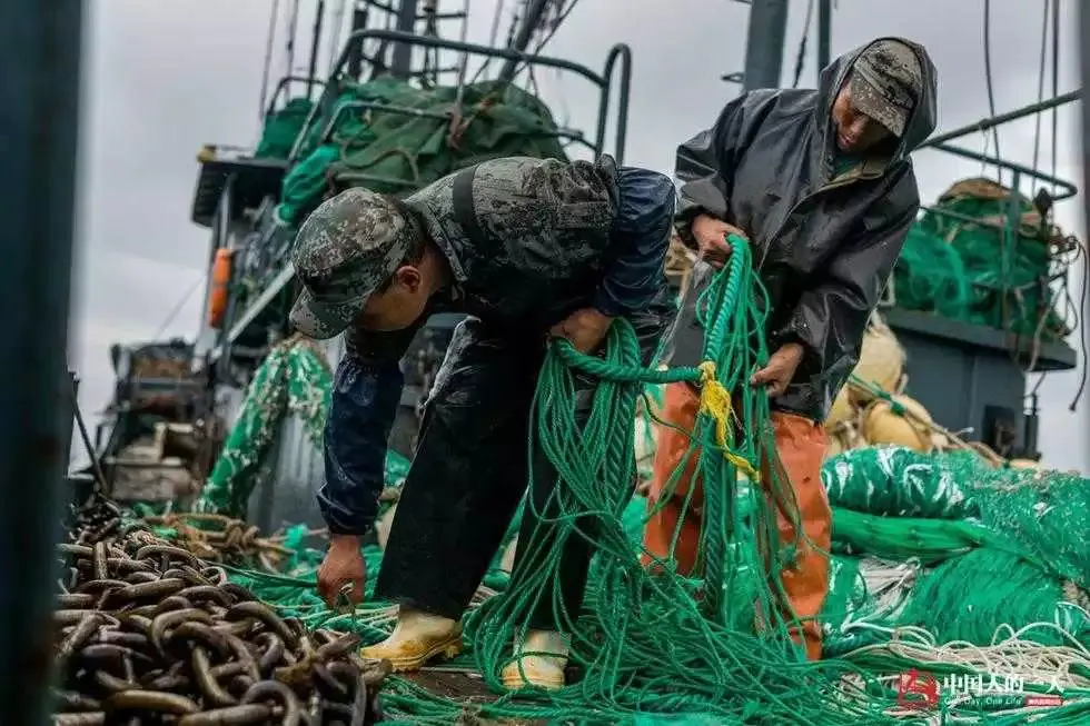 玩捕鱼一天赚100万_玩捕鱼一天赚200块钱_捕鱼一天赚