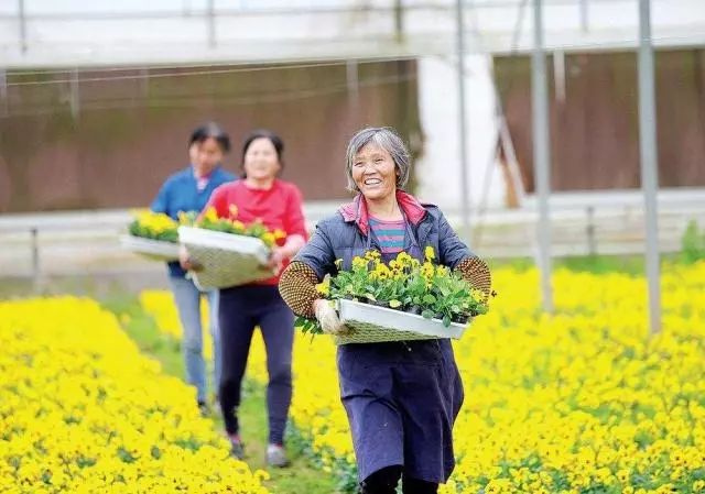 用农业电可干副业犯法吗_农村副业用电多少钱_农村副业用电电价是多少钱一度