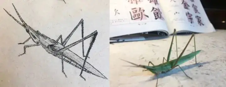 北京有多少演员拍戏是副业_北京演员兼职_在北京拍戏