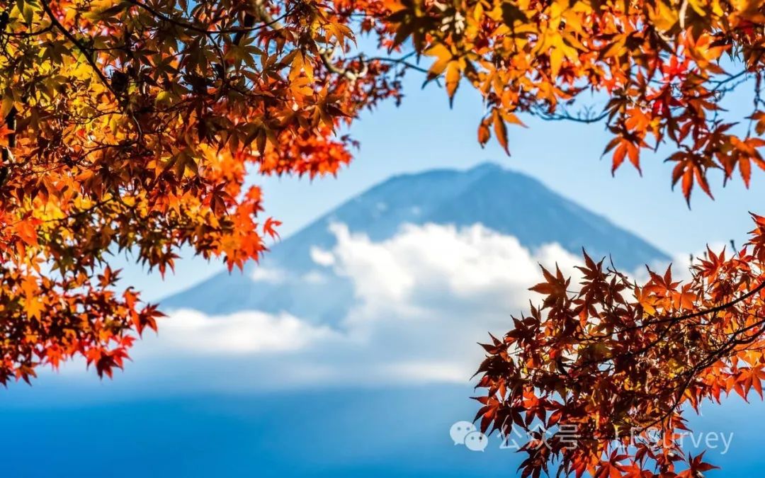 电脑赚点小钱_花钱赚电脑点什么软件_电脑赚点零花钱