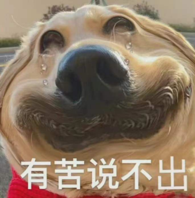 加拿大副业报税要求多少-中产就是大冤种！领不上牛奶金，EI也没资格，月供增了快4000刀-优创圈