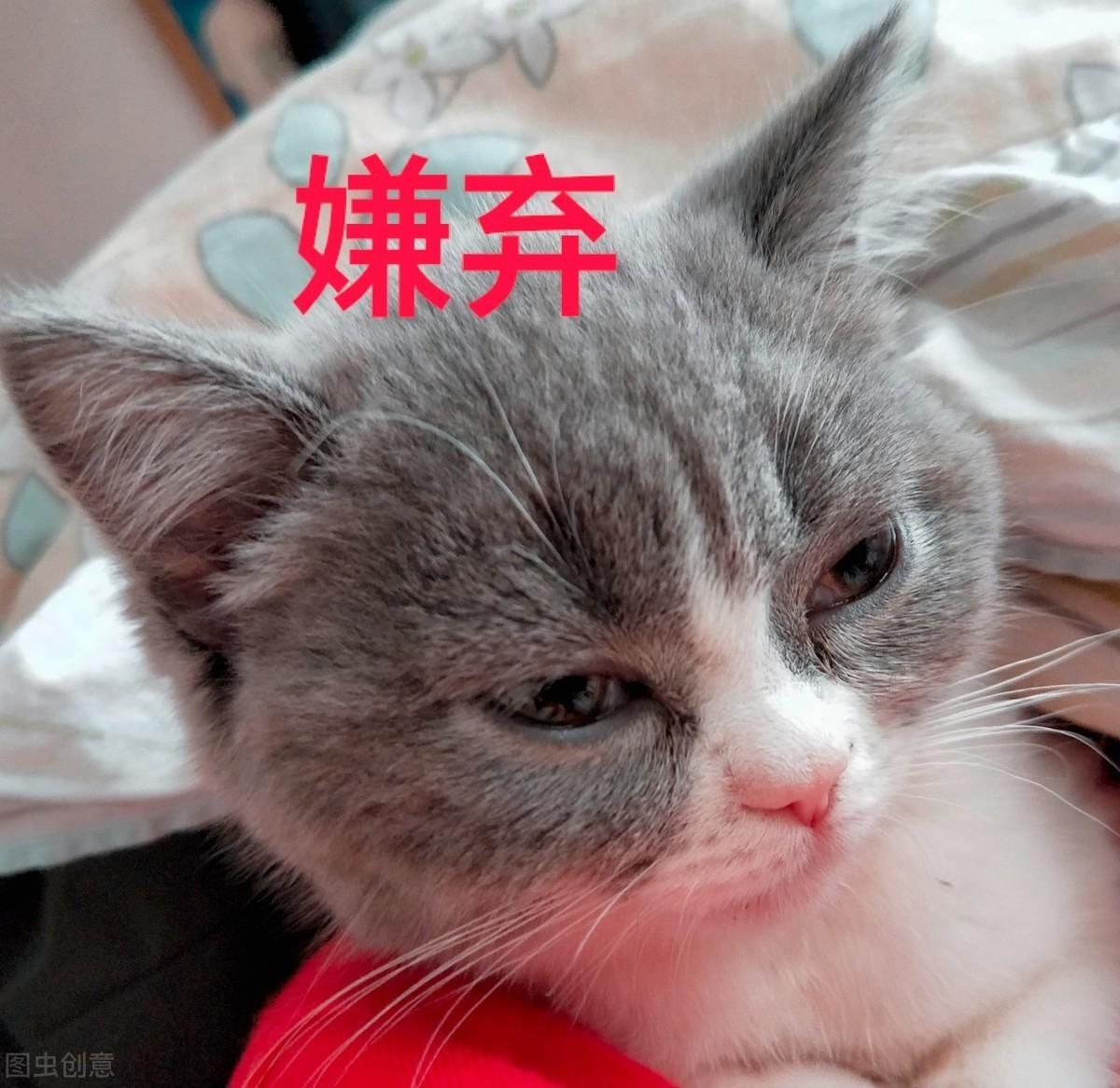 挣钱副业_利润高的副业_十万块钱副业赚多少利润