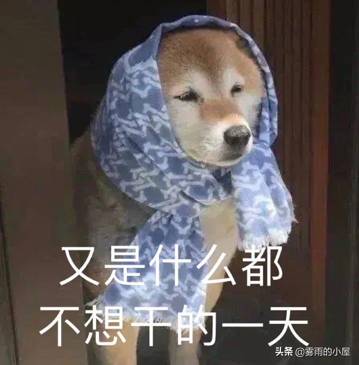 副业赚点钱_现在有多少人在干副业赚钱_副业赚了很多钱