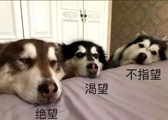 手上有多少钱可以做副业_副业可以干嘛_副业可以挣钱