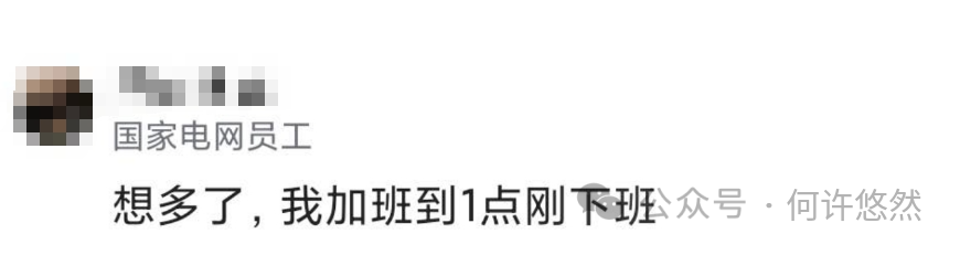 电网员工都有副业吗工资多少_电网工资副业员工有编制吗_电网员工可以做哪些副业