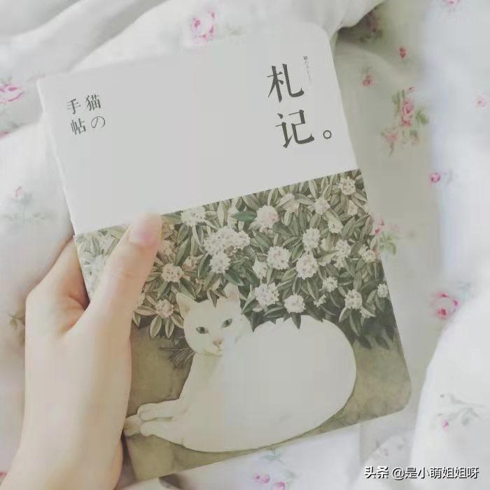 知乎兼职赚钱_知乎上的副业赚钱真的有用吗_多少带点副业能赚钱啊知乎
