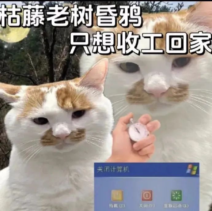 英语赚钱工作有哪些_赚英语副业钱现在叫什么_英语副业赚多少钱啊现在
