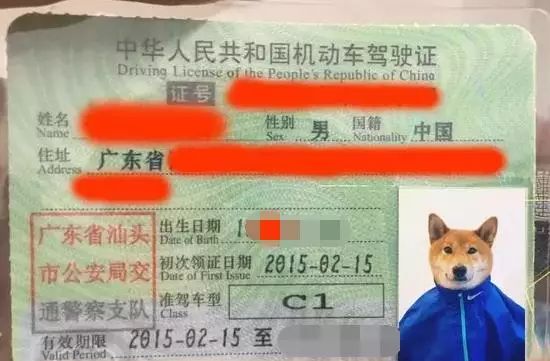 补行驶证副业需要什么资料_补行驶证副页要什么手续吗_行驶证补副业多少钱