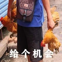要翻译副业一般工资多少-“我有8个副业，收入是外企工资的10倍”-优创圈
