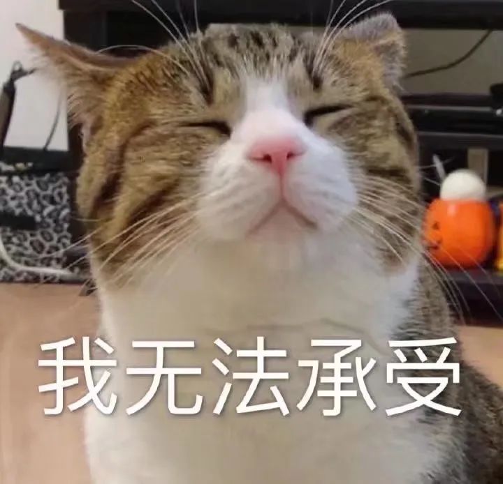 图片[13]-要翻译副业一般工资多少-“我有8个副业，收入是外企工资的10倍”-优创圈