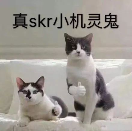 图片[10]-剑桥大学博士副业工资多少-翟天临人设崩了！200万寒门学子悬梁刺股竟不如明星玩人设！-优创圈