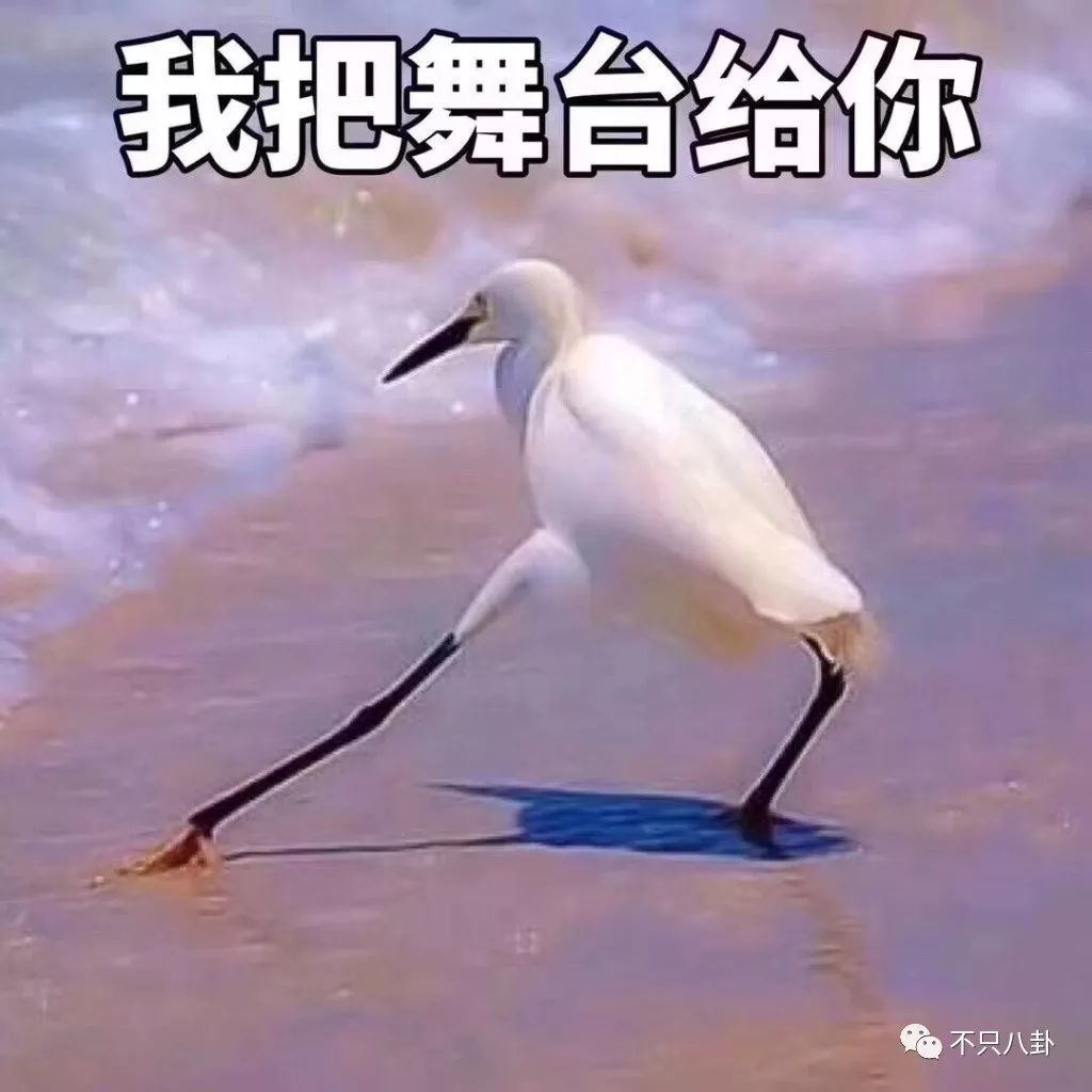 薛之谦有多少个副业_薛之谦生意_薛之谦做什么生意