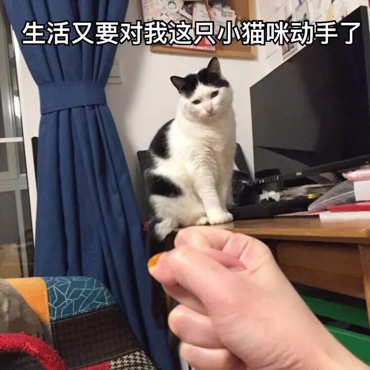 英语兼职赚钱_英语特别好副业能赚多少钱_学英语赚钱的职业