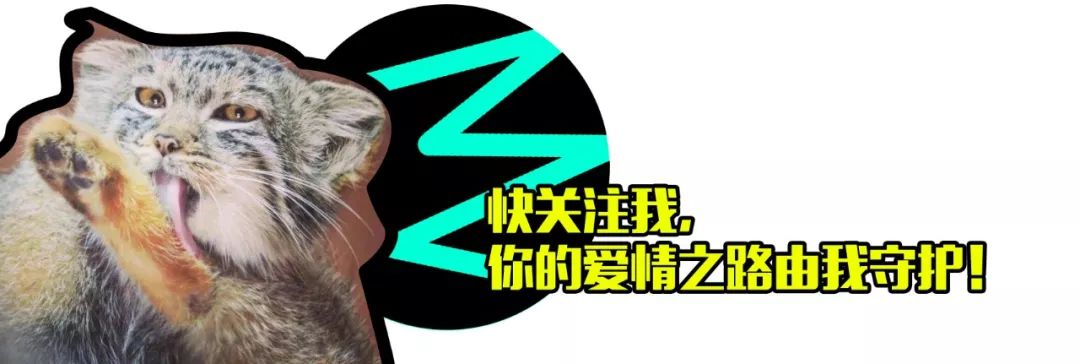 副业开甜品店多少钱-粉丝：跟杜嘟嘟混这么久，对象还没谈上，但是变值钱了。-优创圈