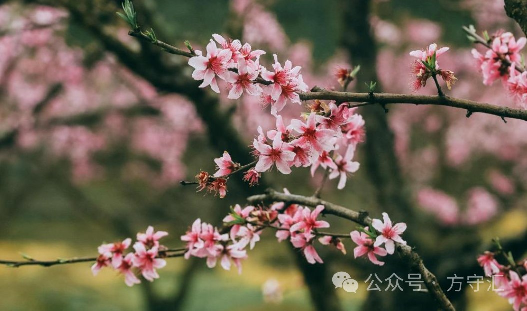知乎副业_多少人有副业挣钱啊知乎_挣钱知乎副业人有多少