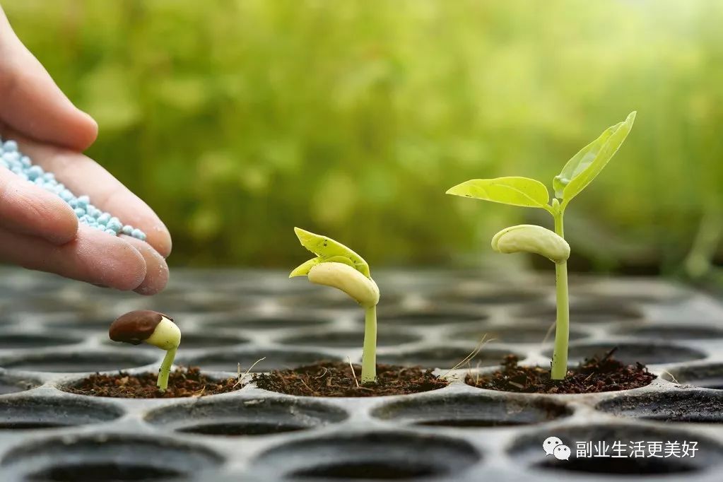 赚钱的副业月入2k_赚收入副业年薪多少_年收入2万的副业赚多少