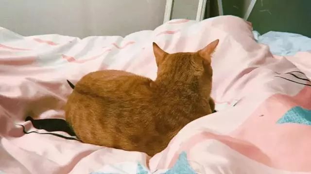 深圳副业月收入6000元_副业一个月10000_深圳副业一月多少钱上班
