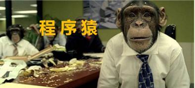 程序员可干副业吗工资多少-程序员为什么会成为高薪的代言行业？程序员接私单都能月入5万-优创圈