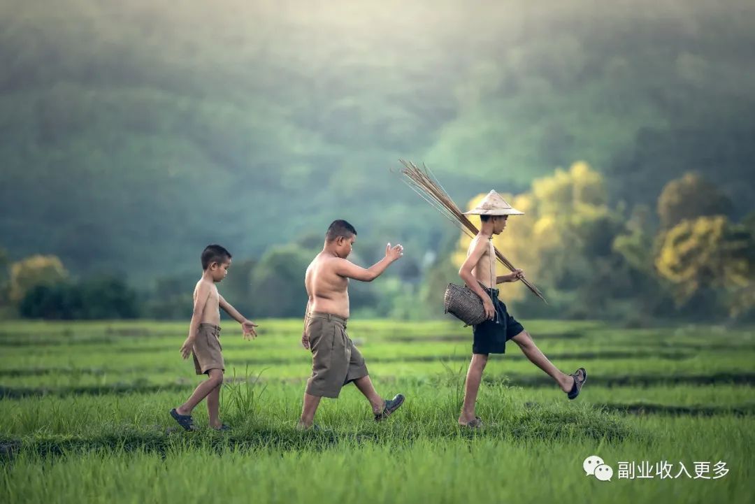 一年4万的副业赚多少_赚副业的网站_赚副业的总结