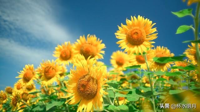 一月赚副业钱正常教师工资多少_教师副业一月赚多少钱正常_教师赚钱的副业