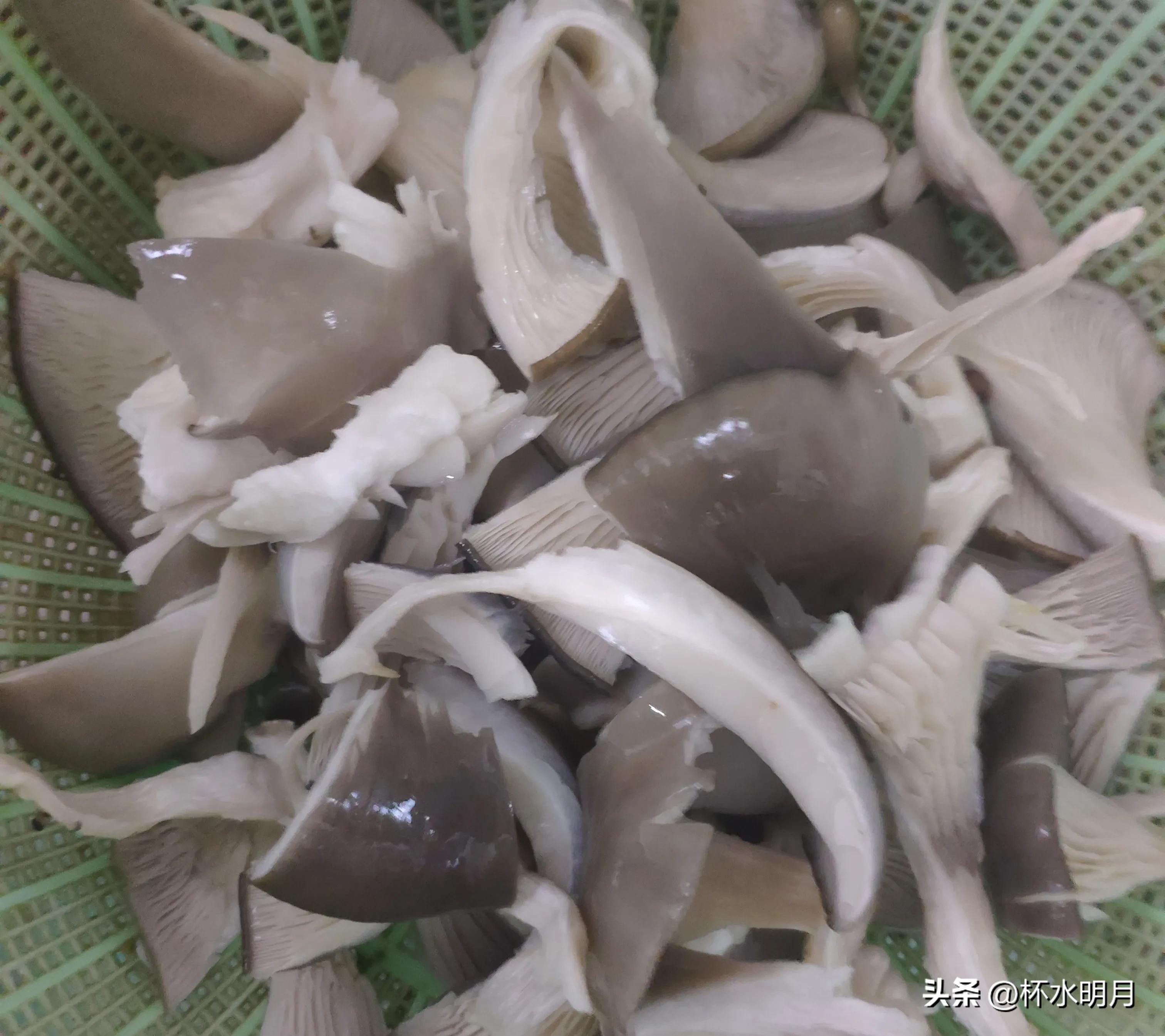 教师赚钱的副业_教师副业一月赚多少钱正常_一月赚副业钱正常教师工资多少