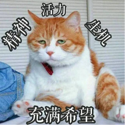 有多少人是有副业的呢英文-一半00后职场人都在搞的“副业”，用英语可以怎么说？-优创圈