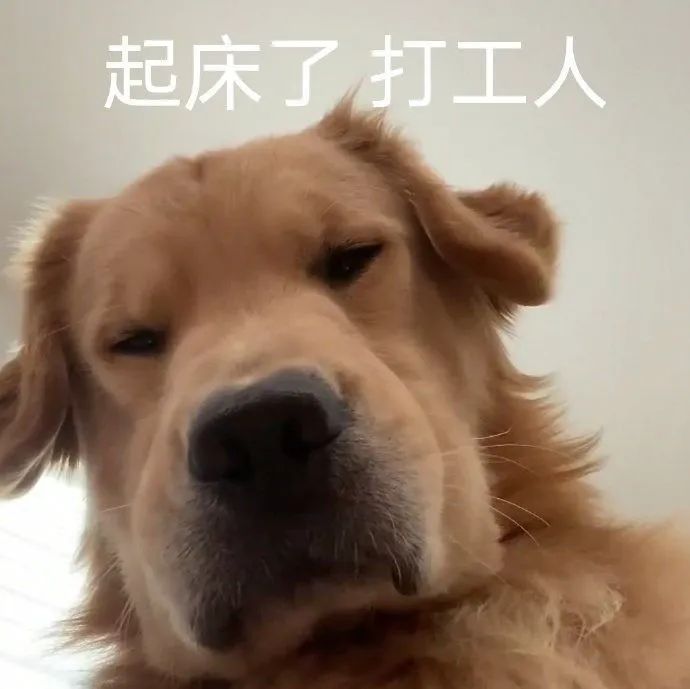 副业英文翻译_有多少人是有副业的呢英文_副业学好英语有什么用