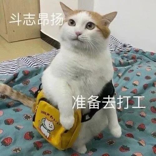 副业英文翻译_副业学好英语有什么用_有多少人是有副业的呢英文