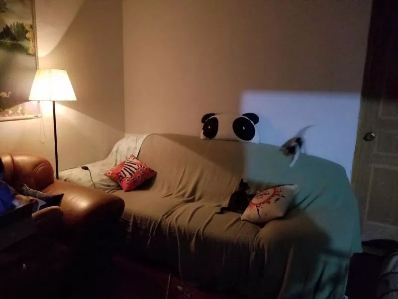 滴滴副业每月赚多少钱_滴滴副业赚钱吗_副业滴滴司机一天能收入多少钱