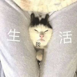 滴滴副业赚钱吗_副业滴滴司机一天能收入多少钱_滴滴副业每月赚多少钱