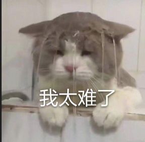 找个副业做_副业想赚钱的小伙伴_年轻人找一份副业赚钱多少