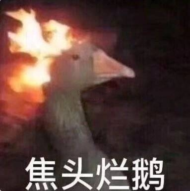 做副业发快递要多少钱一个_快递公司适合开的副业_快递做什么副业