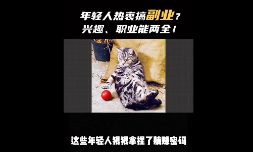 副业一周赚1万元多少钱_赚副业钱周万元怎么赚_副业收入过万