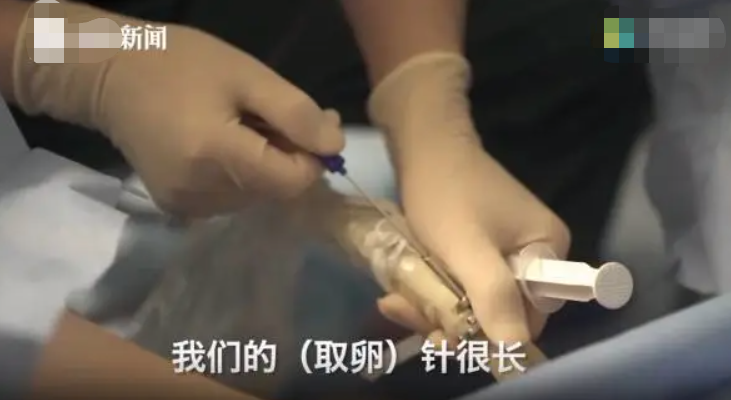 赚钱美女_美女副业一个月能挣多少钱_利用美女挣钱的行业