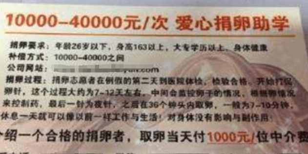 赚钱美女_美女副业一个月能挣多少钱_利用美女挣钱的行业
