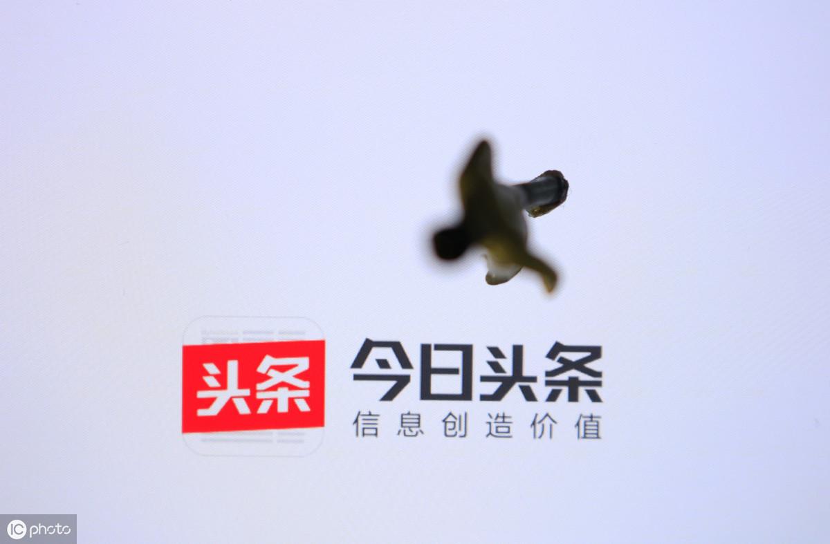 在家干副业_经常在家做什么副业好_在家副业挣钱